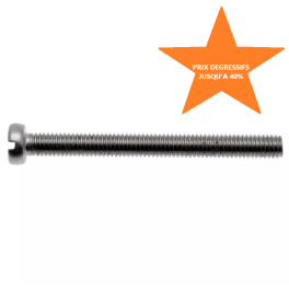 Vis TCF (tête cylindrique fendue) DIN 84 en inox 316 de diamètre M3 à M6