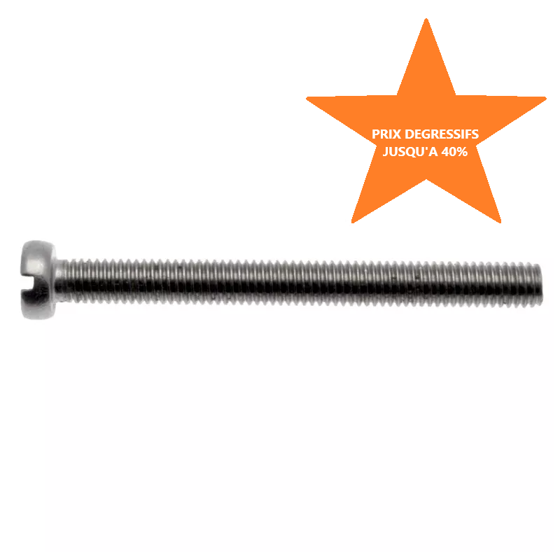 Vis TCF (tête cylindrique fendue) DIN 84 en inox 316 de diamètre M3 à M6
